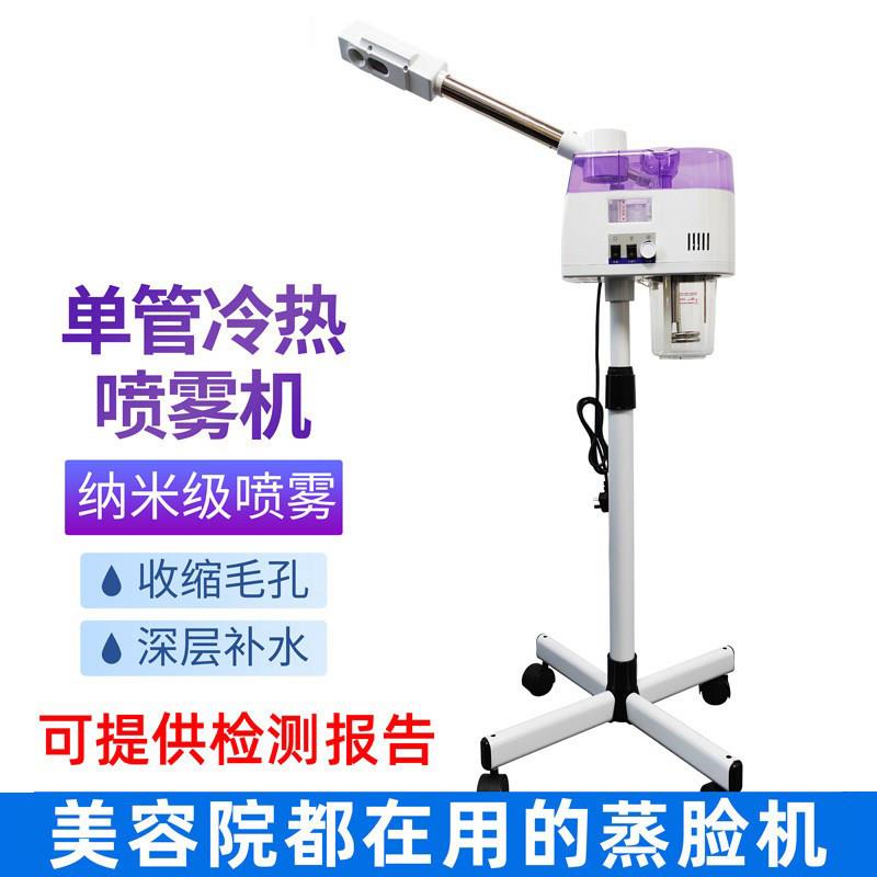 泰东冷热喷雾机美容仪保湿双喷蒸脸器热喷仪美容院专用蒸汽蒸脸仪
