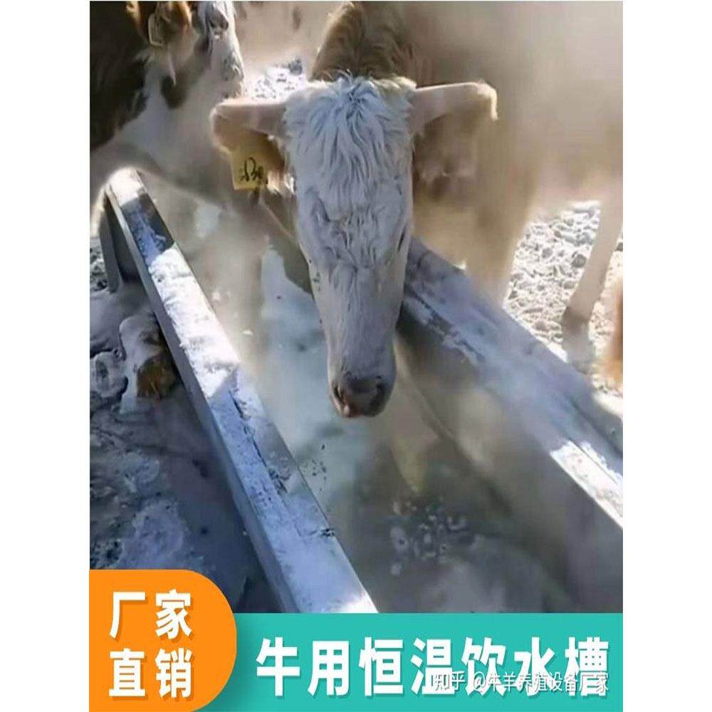 不锈钢牛槽食槽加厚恒温饮水槽自动上水槽料槽羊槽恒温加热大水槽