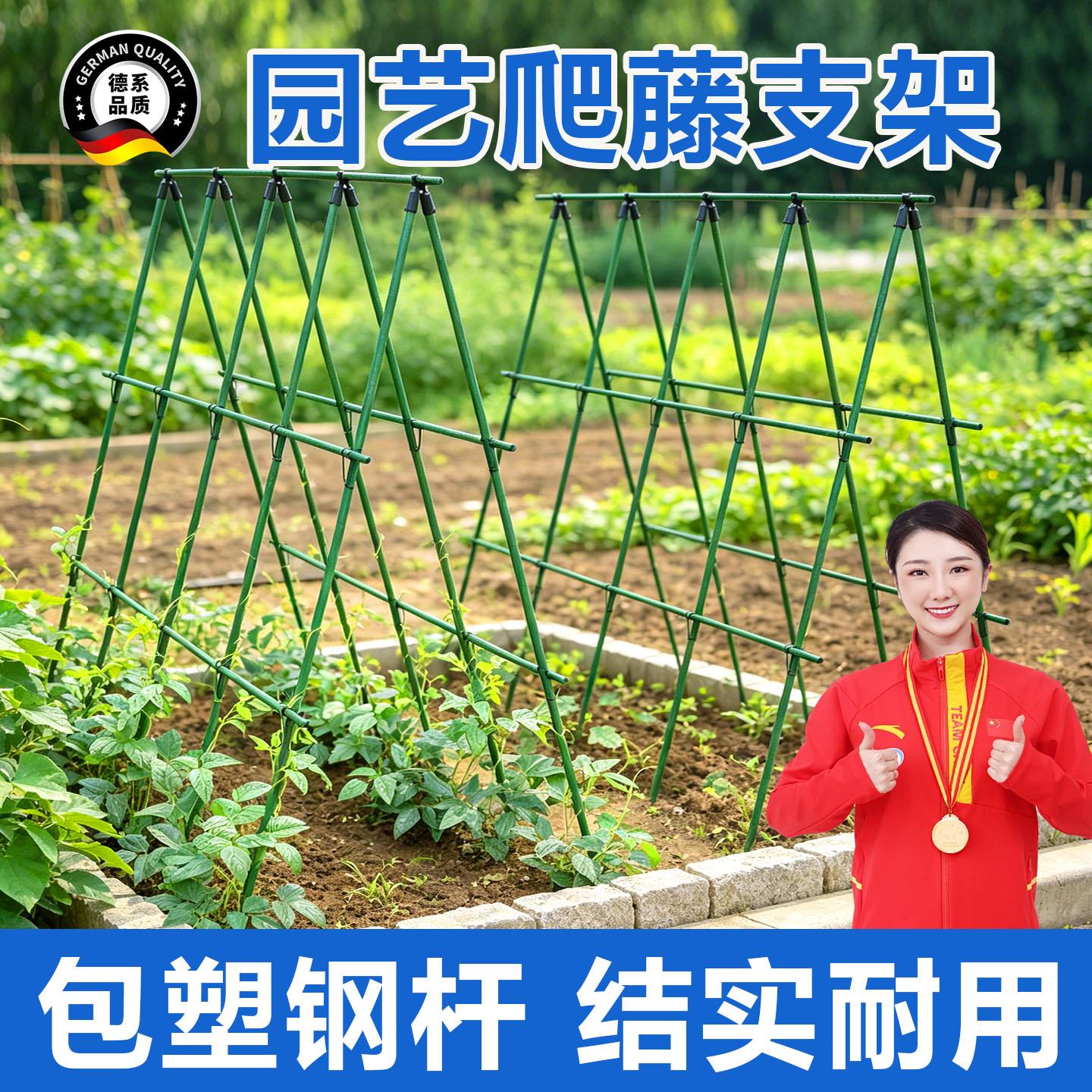 菜园家用蔬菜爬藤杆黄瓜苗豆角爬藤架子搭棚子三角支架铁艺花架