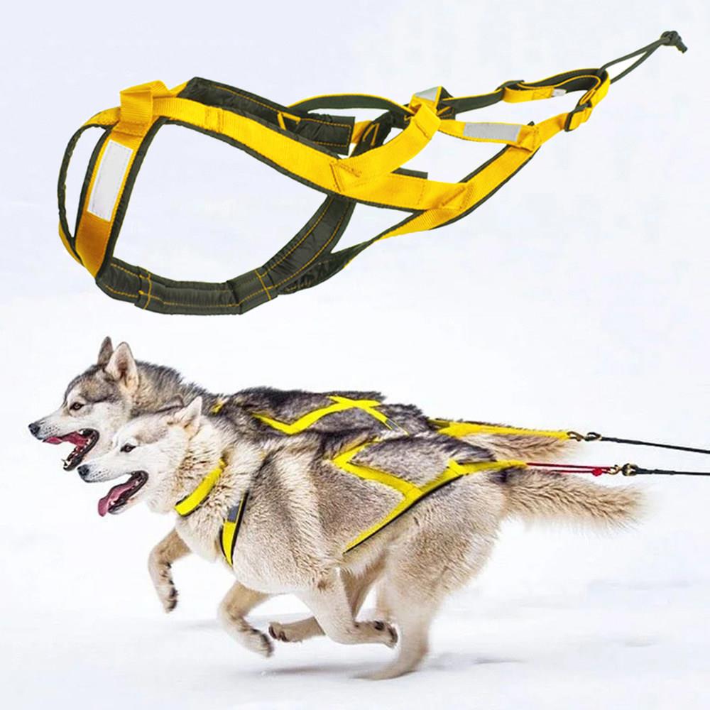 XLeiPet纯色雪橇犬胸背带 金毛阿拉斯加专用牢固背带