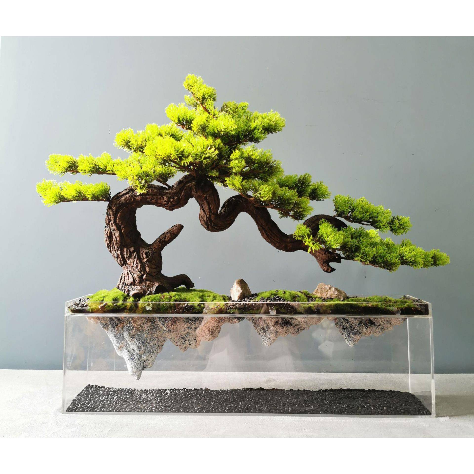 厂家直销创意永生青苔仿真绿植亚克力景观玄关客厅家居饰品摆件