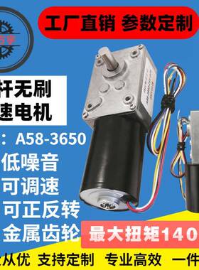 A5840-3650蜗杆直流齿轮减速电机带自锁功能24V马达电动机微型