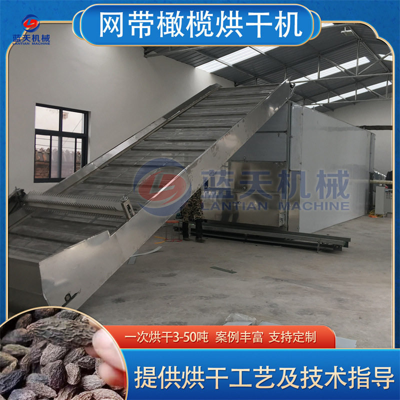 网带橄榄烘干机 全自动青果甘榄余甘子烘干设备 大型橄榄子干燥机