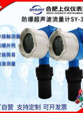 防爆超声波液位计物位计水位计隔爆超声波液位仪SY300E厂家