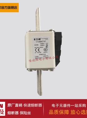 熔断器170M3746 170M3747 170M4738 170M4739 170M4740 170M4741