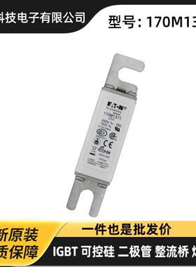 170M1311 170M1310 170M1312原厂低压熔断器 保险丝型号系列全