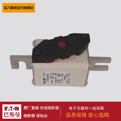 熔断器170M3246 170M3247 170M3248 170M4238 170M4239 170M4240