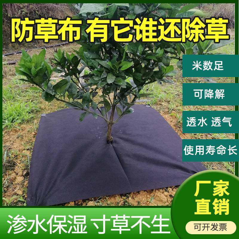 农用防草布抑草除草布农用地布果树盖草布遮草地布黑地膜打孔切片