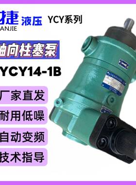 长期销售16YCY14-1B柱塞泵YCY系列铸铁轴向柱塞泵精准增压泵加工
