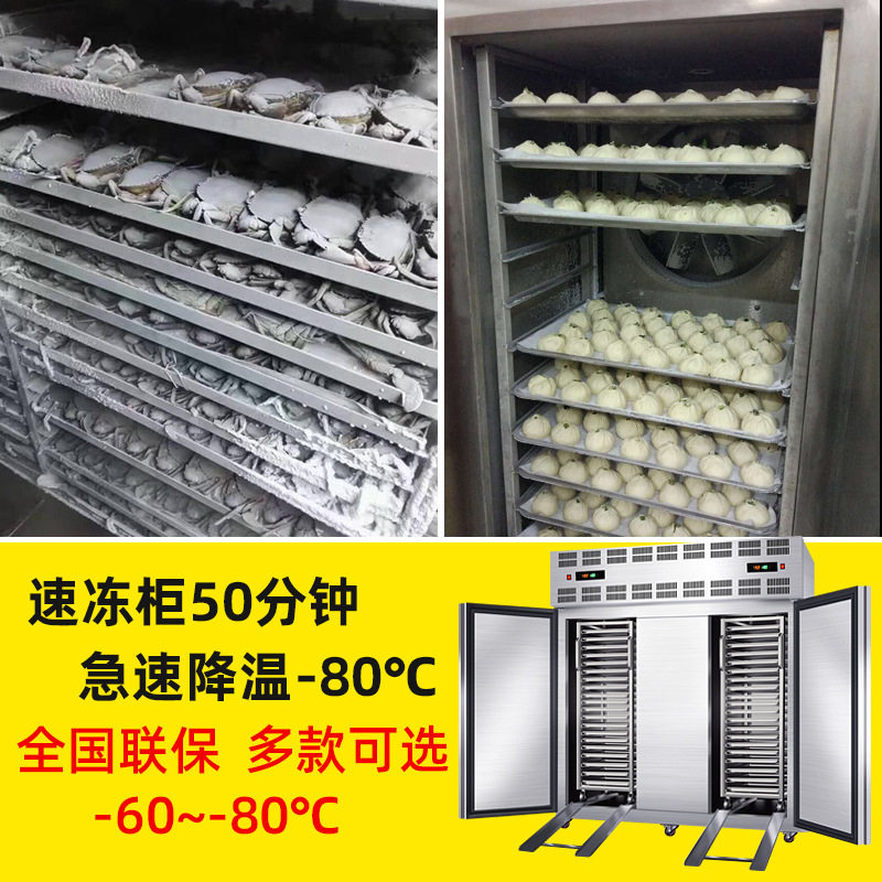 零下45度商用速冻柜速冻机小型急冻冷柜海参包子饺子风冷低温冰箱