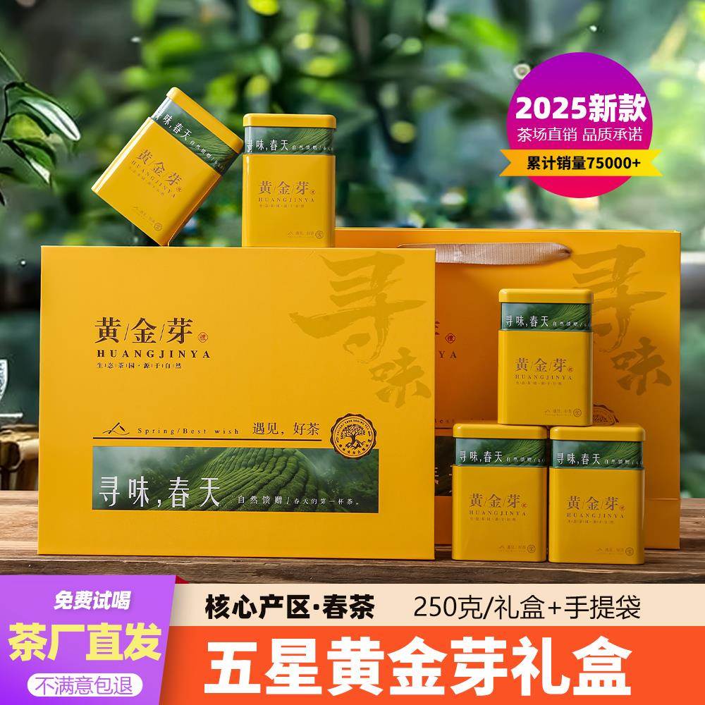 2025年新黄金芽茶叶安吉高山正品口粮黄金叶特一级250克送礼品盒