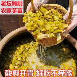广东化州高州新鲜腌制去皮芋苗酸客家酸笋配粥广西博白横县芋苗梗