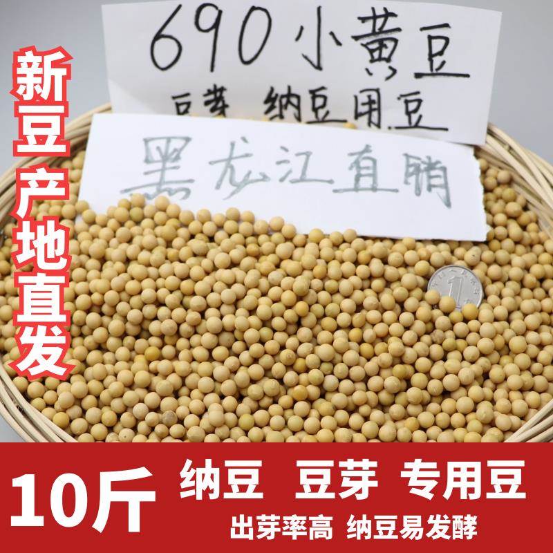 向南飞新粮小粒黄豆690生髪豆芽纳豆专用黄豆浆10斤小黄金