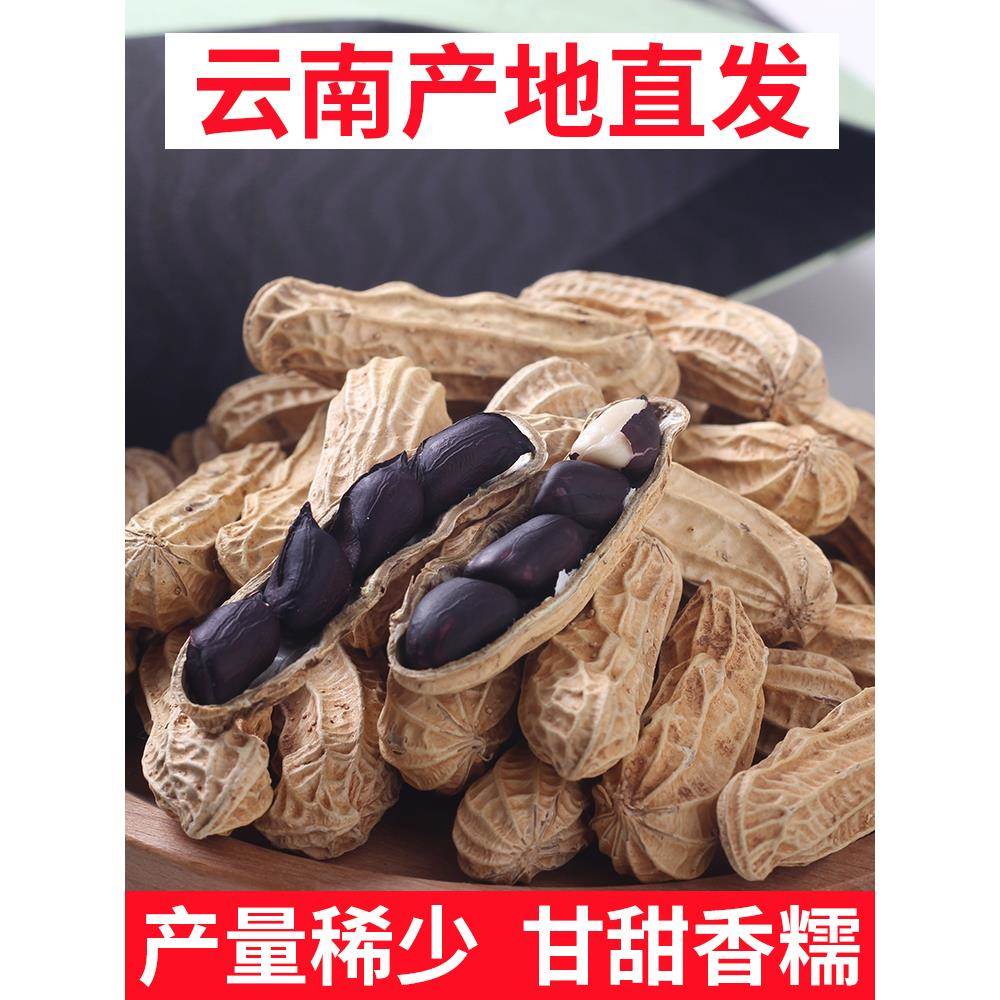 新货云南黑花生带壳生的原味炒熟普洱特产老品种富硒黑皮花生