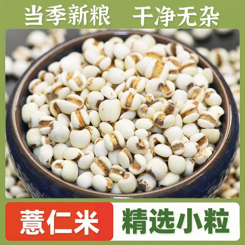 新鲜小薏米薏仁米薏米仁苡仁意米煮粥新货五谷杂粮粗粮油颗粒饱满