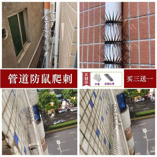 防鼠挡板网刺钉爬刺网罩围墙刺树倒刺防攀爬电线杆电杆专用水电力