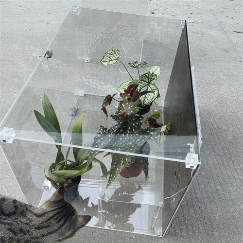 亚克力热植闷养箱热植保温箱育苗箱保湿暖房热带植物陈列柜展示柜