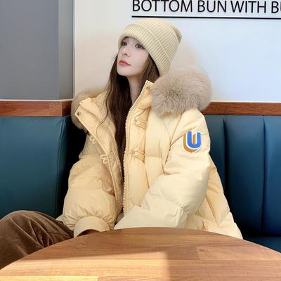 新中式轻国风长款羽绒服女冬2024新款大毛领连帽加厚90白鸭绒外套