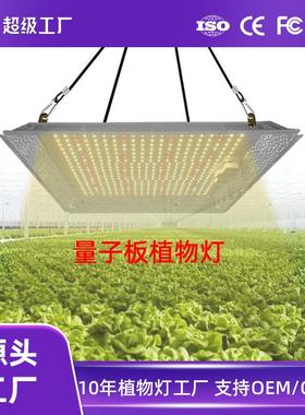 大棚生长灯100W量子板植物灯草莓番茄西红柿LED全光谱多肉补光灯