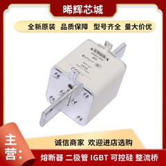 170M1422 170M1423 170M1561直流快速熔断器库存充足 型号齐全