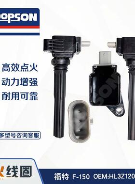 F-150 点火线圈 HL3Z12029A HL3Z12029D 工艺精良 启动更顺畅