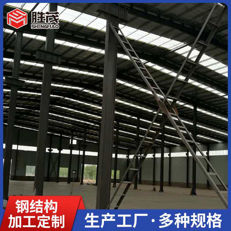 钢结构厂房 钢结构隔层阁楼安装 搭建厂房仓库钢结构平台装配式