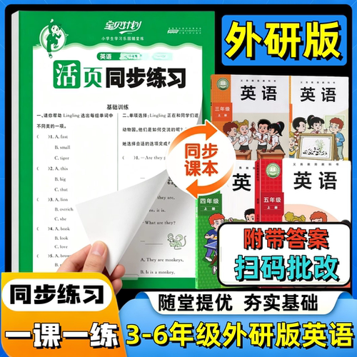 外研版英语手撕活页练习册