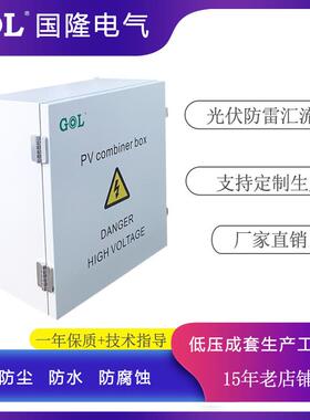 光伏防雷直流汇流箱 2进1出DC1000V 防护等级IP65 防水 防尘