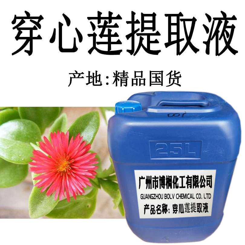 供应 穿心莲提取液 植物提取液 穿心莲萃取液 1公斤起订