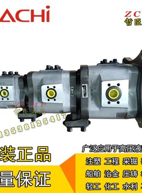 IPH-456B-20/25/32-40/50/64-80/100/125-11/3899A/3899K/3905L