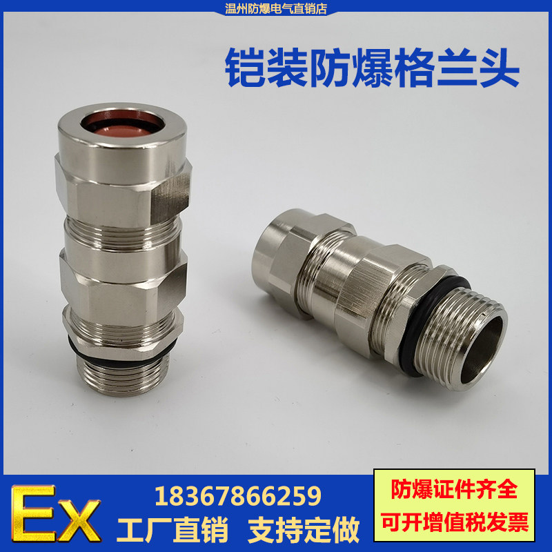 不锈钢防爆电缆密封接头M20防水格兰头1/2NPT隔爆型铠装夹紧接头