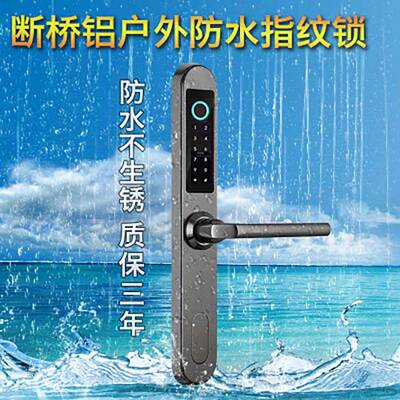 304防精大铸户外水院H6800ZW别墅门铝艺门防庭雨防锈双面密码指纹