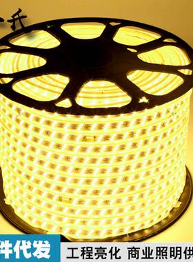 led灯带 5050变光防水5730LED贴片柔性220V灯条 2835双排三排灯带