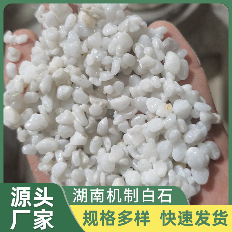 海口直供鱼缸底砂造景原生态花盆铺面天然小石头鹅卵石装饰小石子