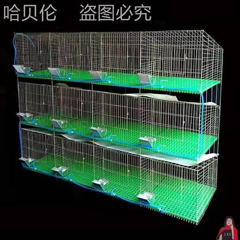 肉兔荷兰猪免清新型繁殖笼