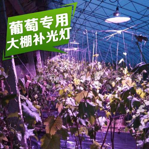 日RY-GK50W耀ld灯植物灯生长全光e谱室内花卉育苗多肉蔬菜温室大