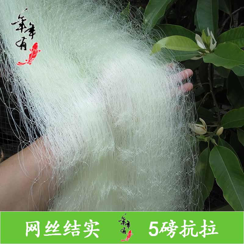年年有渔单层北京丝网片黄丝网心半成品粘网5磅网丝网带
