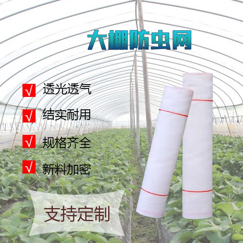 温室大棚加厚防虫网家用庭院防蚊防虫放鸟放风口防尘纱尼龙纱窗网