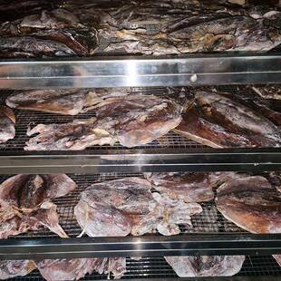 墨鱼烘机乌贼干干烘房空气备能海产OMM品冷热风干燥干设丹莱