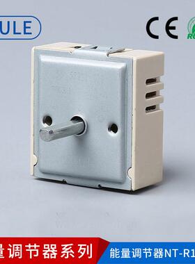 能量调温节器NT-R18-010温控器度制厨控房器设备EOH配件