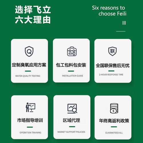 飞立臭氧发生器养殖废水处理 可连续工作高浓度氧气源臭氧发生器