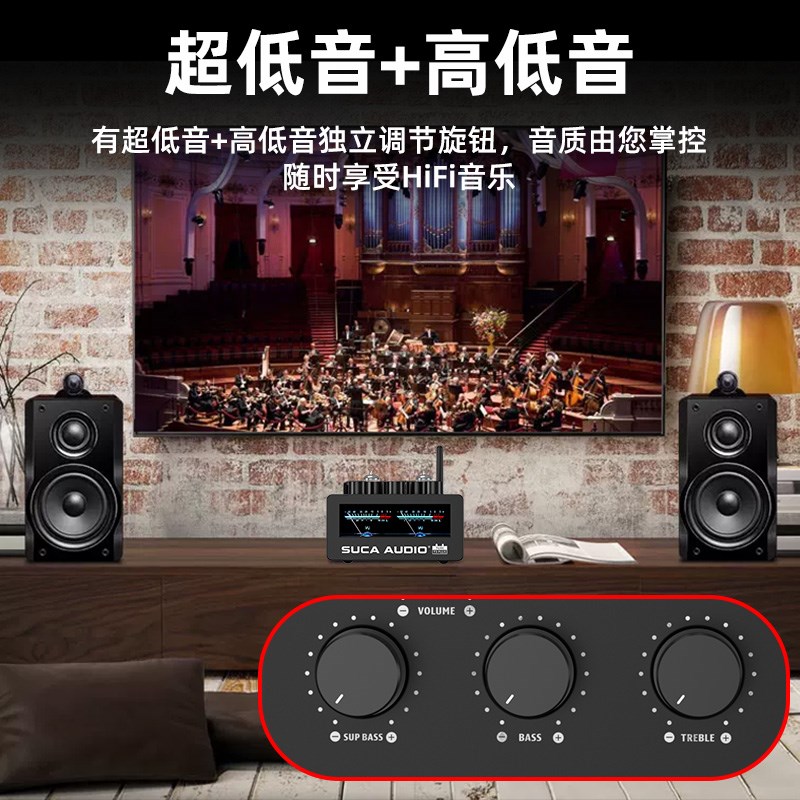 大功率电子管前胆后石5.1 HiFi发烧级数字后级家用小胆功放机