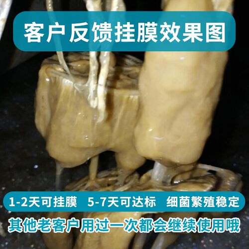 甘度好氧菌种降氨氮脱氮细菌微生物活性菌净化高浓度污水处理菌剂
