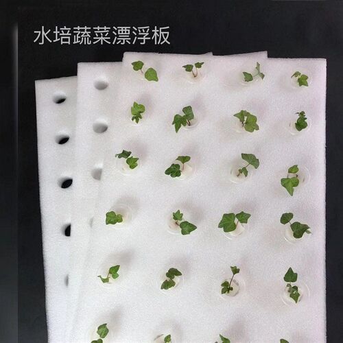 厂家水培器皿漂浮板定植板无土栽培设备水上温室种菜水培泡沫板种