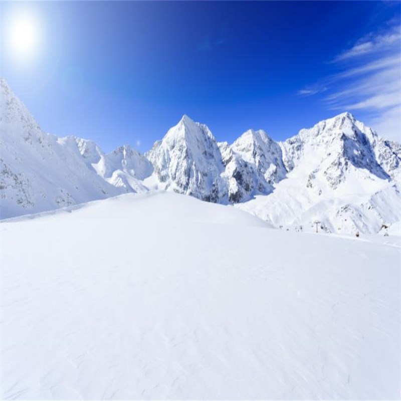 冬季雪景拍照背景婚纱主题写真梦幻背景风景背景纸模特拍照背景布