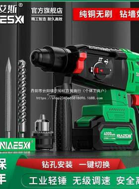 耐艾斯充电锤NAS26L轻无刷型锂电锤工业电锤电级镐电冲击电钻WYU