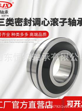 三类密封加厚 BS2-2206-2CS-2RS 30*62*25 22206CA 调心滚子轴承