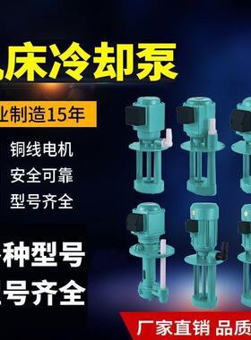 B-FLH12水泵4油0W机床冷泵90W车床泵ABD-25/DB-100机床泵三垒德却