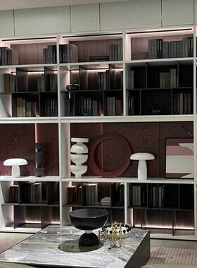 现柜代一体整墙轻VLE奢书香门书定制合收组纳置物柜北京第天津全