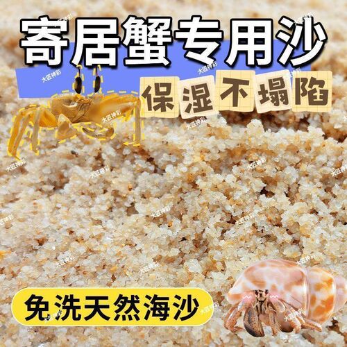 孵化沙饲养缸底砂细沙子沙蟹专用沙免洗海沙相守螃蟹甲鱼乌龟冬眠